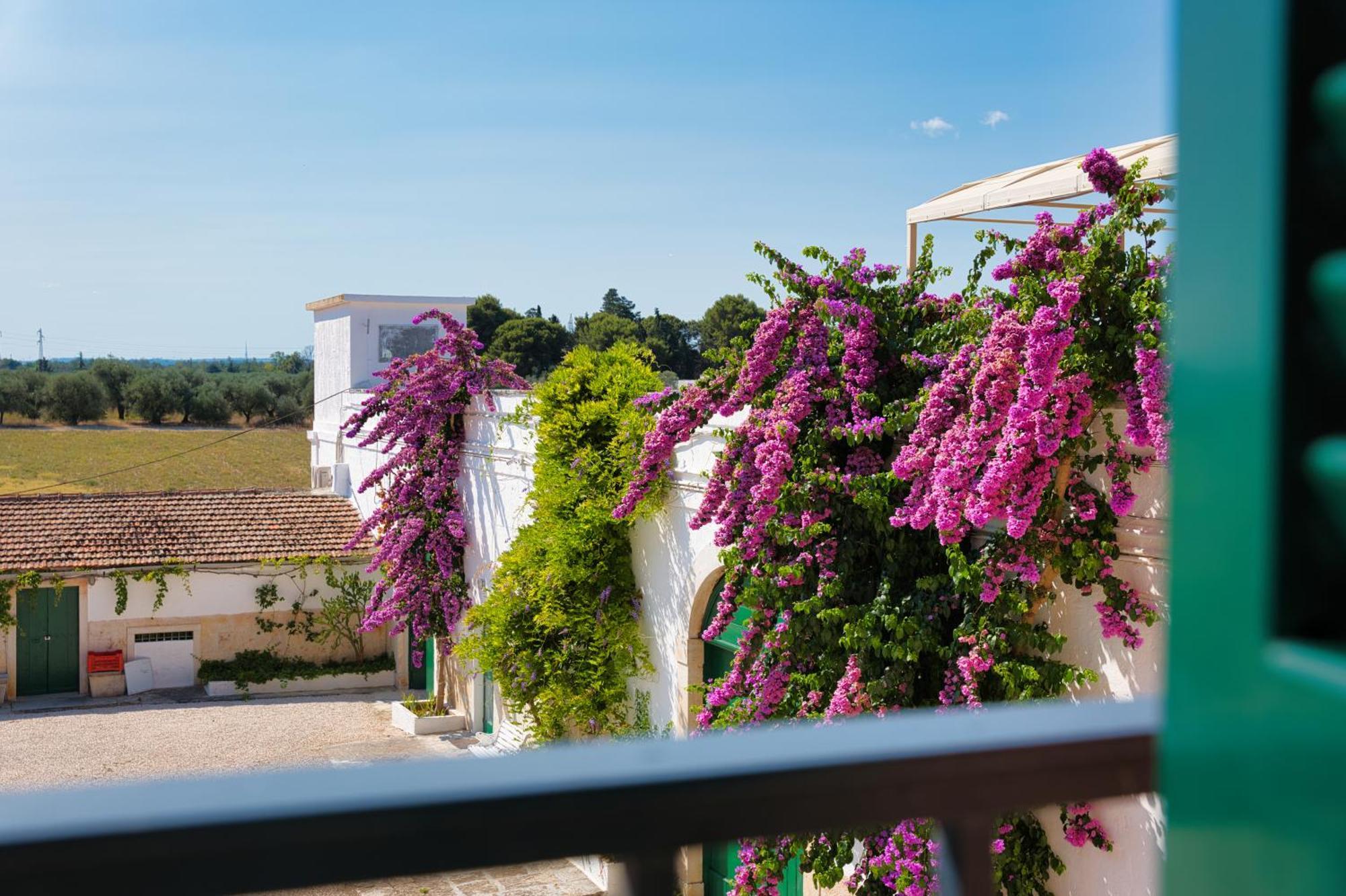 Villa Ceci Dimora Di Storie Andria Bagian luar foto